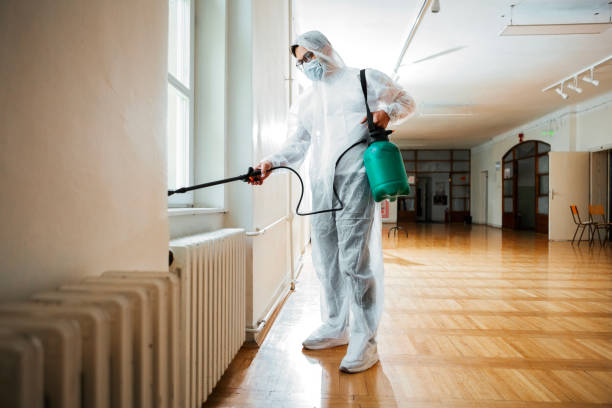 Reliable Steubenville, OH Pest Control Solutions